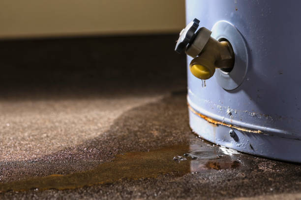 Best Flood damage cleanup  in Ferron, UT