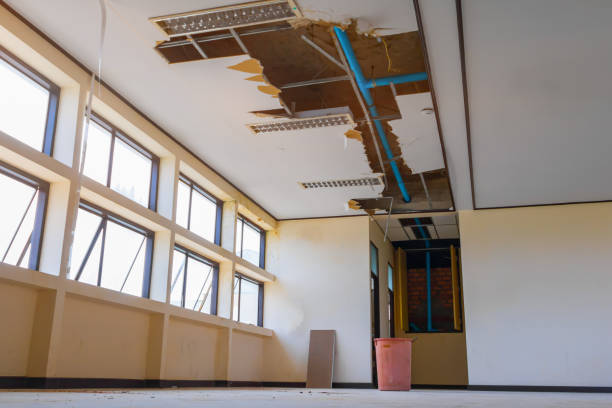 Best Commercial water damage restoration  in Ferron, UT
