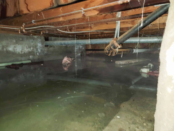 Sewage cleanup and water damage restoration in UT