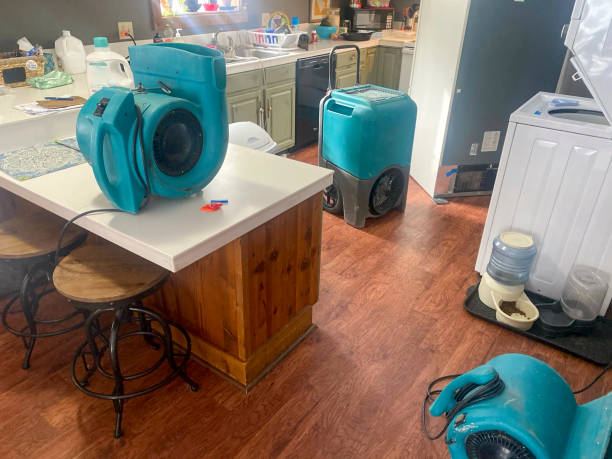 Best Water damage contractors near me  in Ferron, UT
