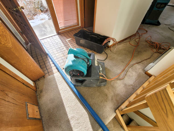 Best Water damage restoration near me  in Ferron, UT