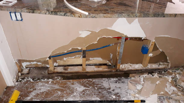 Best Flooded house restoration  in Ferron, UT