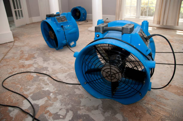 Best Fire Damage Restoration  in Ferron, UT