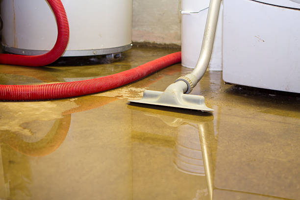 Best Carpet water damage restoration  in Ferron, UT