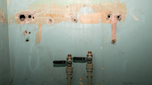 Best Ceiling water damage repair  in Ferron, UT