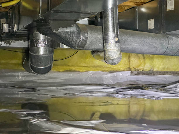 Best Local water damage restoration  in Ferron, UT