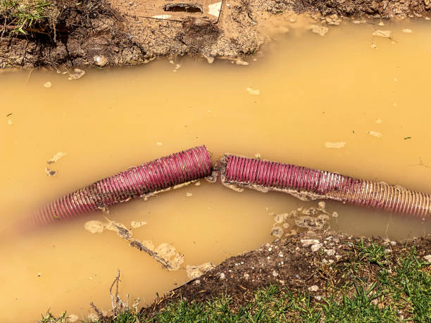 Best Mold removal after water damage  in Ferron, UT