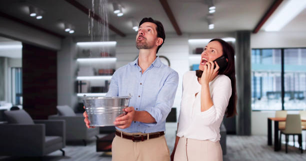 Best Sewage cleanup and water damage restoration  in Ferron, UT