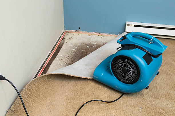 Best Professional water damage repair  in Ferron, UT